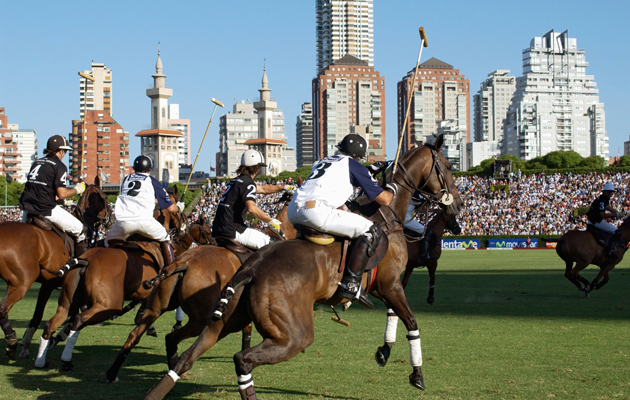 Horses and riders racing to the ball in front of spectators in the stands with a backdrop of Argentina buildings at the Argentine Open Polo Championship.
