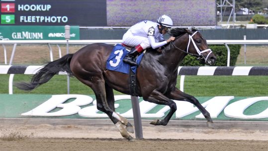 Side view of horse & jockey galloping fast on the dirt track at the Belmont Stakes.