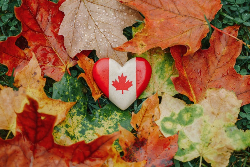 Heart-shaped Canada flag on top of autumn leaves for Canadian Thanksgiving.