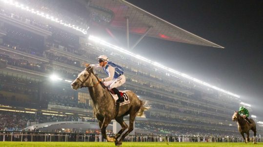 Horse & jockey galloping down the backstretch in front of the brightly lit grandstand at night at the Dubai World Cup.