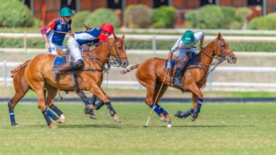 Polo players on horses competing on the grass turf at the FIP Polo European Championship.