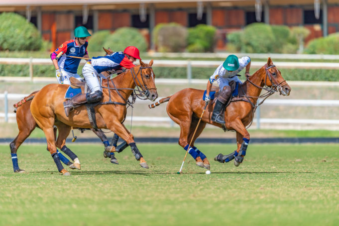 Polo players on horses competing on the grass turf at the FIP Polo European Championship.