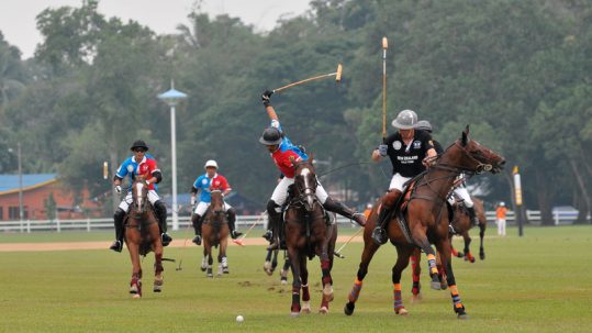Polo teams competing on the grass field at the FIP World Polo Championship.