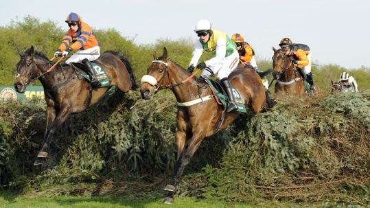 Horses jumping over hedges at the Grand National Steeplechase.