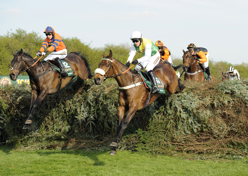 Horses jumping over hedges at the Grand National Steeplechase.