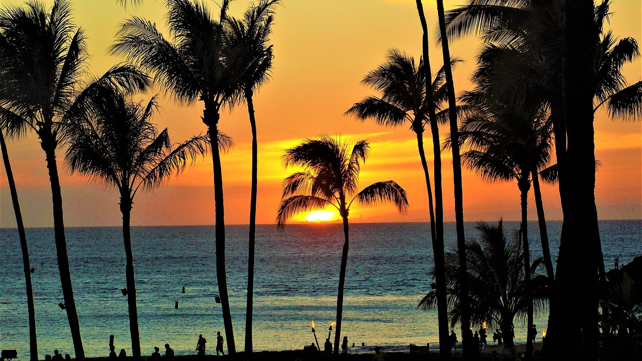 Sunset over ocean with palm trees in foreground in Maui Hawaii during March Equinox.