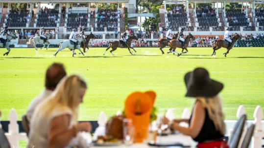 Spectators dining & drinking while watching teams compete at the US Open Polo Championship.