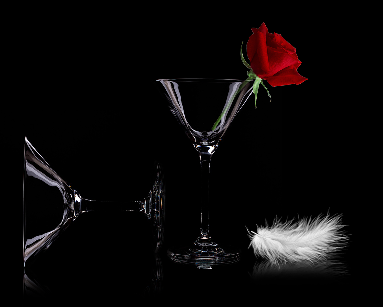 Red rose in a martini glass next to a single white feather on a black background to represent Culture & Society Events-Based Travel Ideas