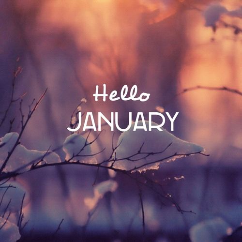 The words Hello January written in white letters in the foreground with snow on twigs in a forest background for January Events.