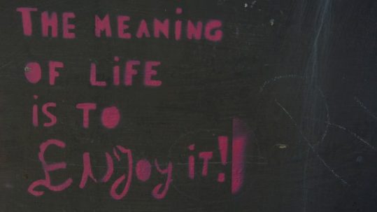 Best motivational quotes to Enjoy Life on wall saying 'The meaning of life is to Enjoy it!'
