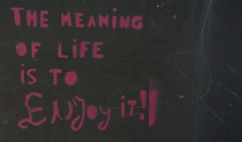 Best motivational quotes to Enjoy Life on wall saying 'The meaning of life is to Enjoy it!'