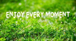 Inspirational lifestyle quote on green grass garden background.