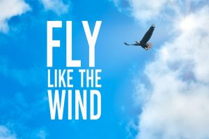Best flying quotes: 'Fly like the wind' phrase written against blue sky with clouds and a flying eagle background.