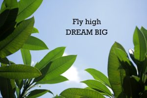 Green frangipani leaves and blue sky background with the best flying quote 'Fly high Dream Big'