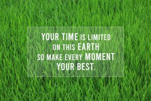 Closeup of natural green paddy plants growing in field with inspirational quote saying 'Your time is limited on this earth, so make every moment your best.'