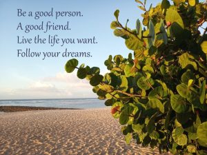 Green plant with white sandy beach under clear blue sky scenery with inspirational quote about living the good life, saying 'Be a good person. A good friend. Live the life you want. Follow your dreams.'