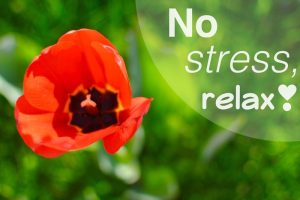 Pretty orange flower in front of lush green background with a 'No stress, relax' quote about relaxing to the side.