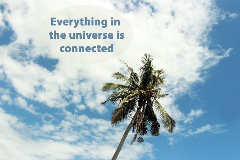 Single coconut palm tree under the bright white clouds and blue sky on a sunny day with inspirational universe quote 'Everything in the universe is connected.'